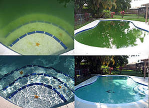 Green pool cleaning